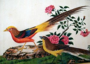 No 156 – Chinese Pit Paper Painting of Gold Pheasant Qing Dynasty (1644-1911)